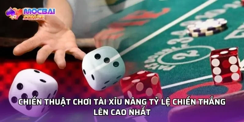 Chiến thuật chơi tài xỉu nâng tỷ lệ chiến thắng lên cao nhất